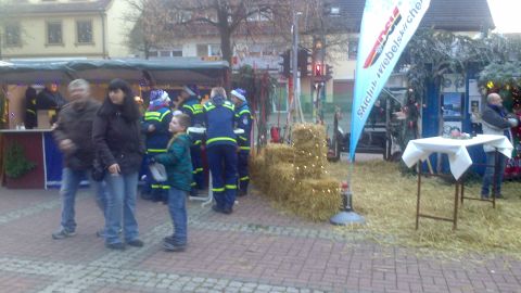 Bild "WM_2013_02_skal.jpg"